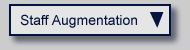 Staff augmentation - personnel and skillset searches